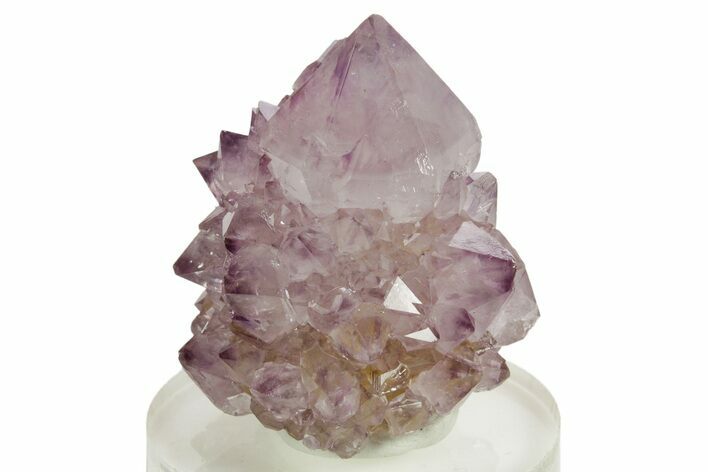 Sparkling Cactus Amethyst Crystal Cluster - South Africa #364596